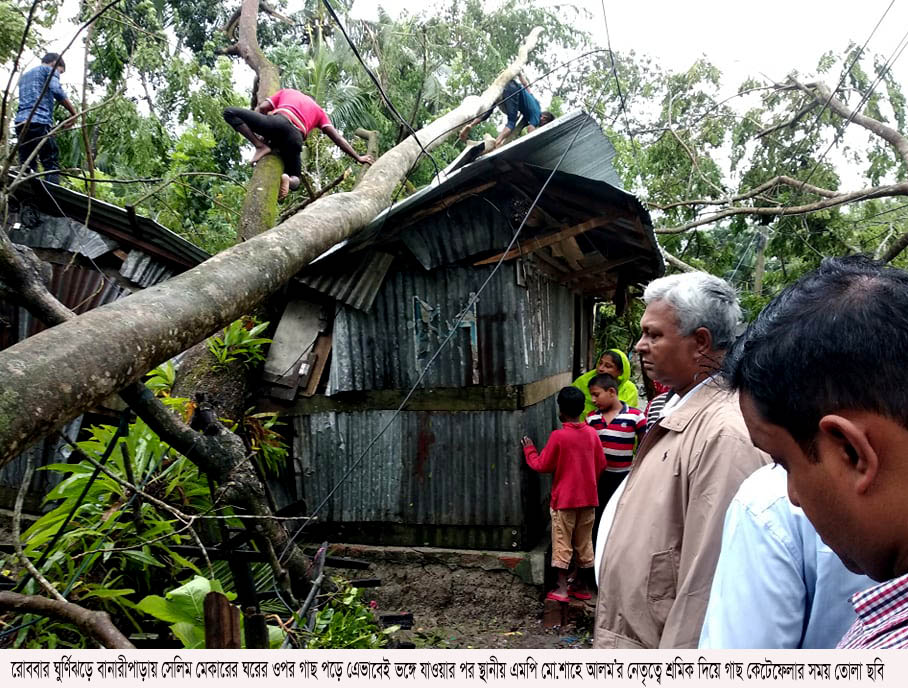 বানারীপাড়ায় গাছ পড়ে অসংখ্য ঘর-বাড়ি ভেঙ্গে কমপক্ষে ১০ জন আহত