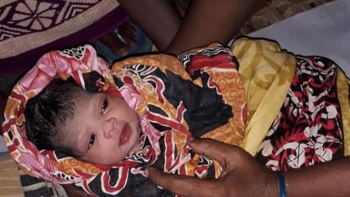 আশ্রয়কেন্দ্রে বুলবুলির জন্ম