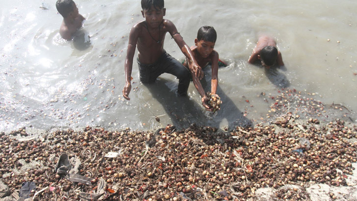 নদীতে মিলল ১৫ টন পেঁয়াজ : জনতার হুড়োহুড়ি