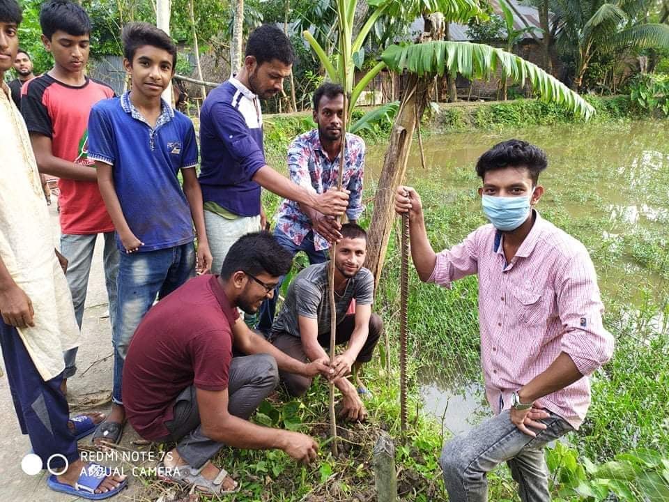 বাকেরগঞ্জের ছাত্রদলের বৃক্ষ রোপণ কর্মসূচি বাস্তবায়ন