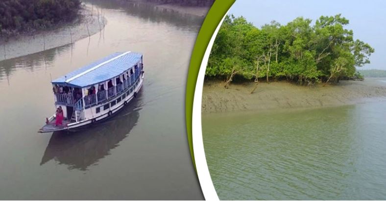 পর্যটকদের জন্য উন্মুক্ত হলো সুন্দরবন