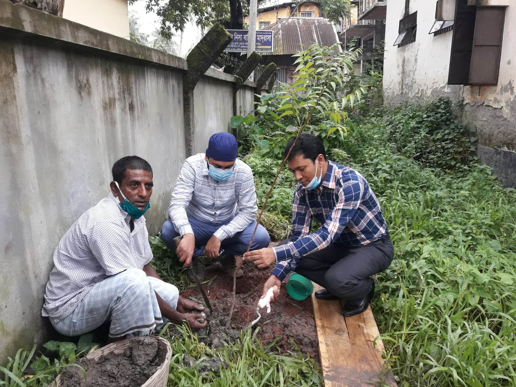 বানারীপাড়া উপজেলা ভূমি অফিসের উদ্যোগে বৃক্ষ রোপণ