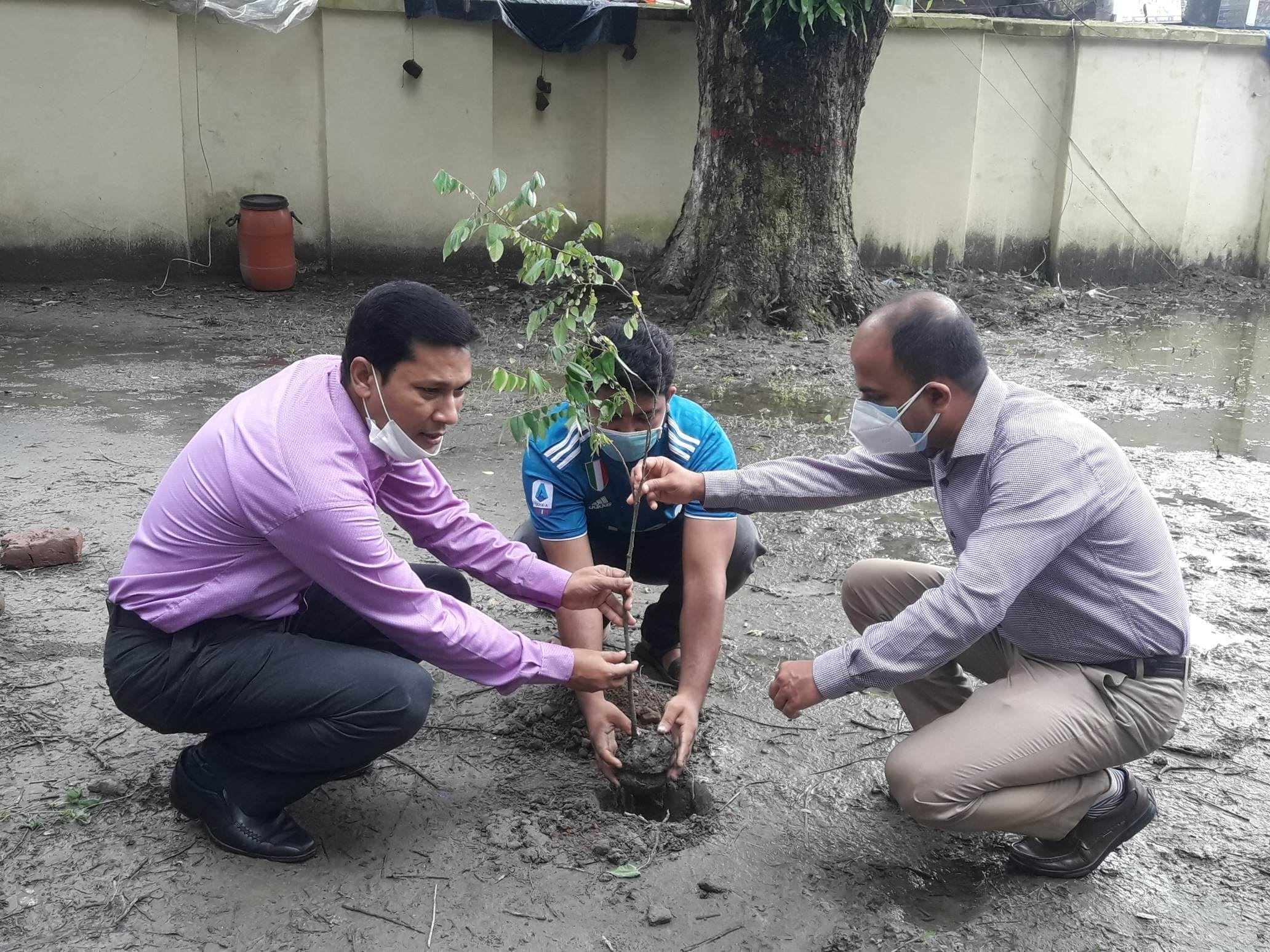 মুজিববর্ষ : লালমোহন উপজেলা ভূমি অফিসের উদ্যোগে বৃক্ষ রোপণ