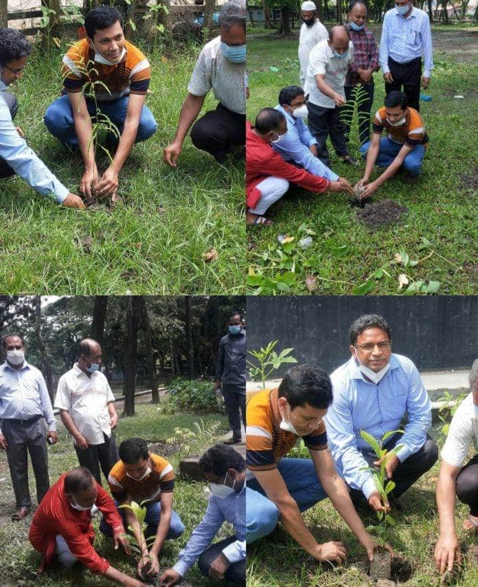 মুজিববর্ষ উপলক্ষে কলাপাড়া উপজেলা ভূমি অফিসের উদ্যোগে বৃক্ষ রোপণ