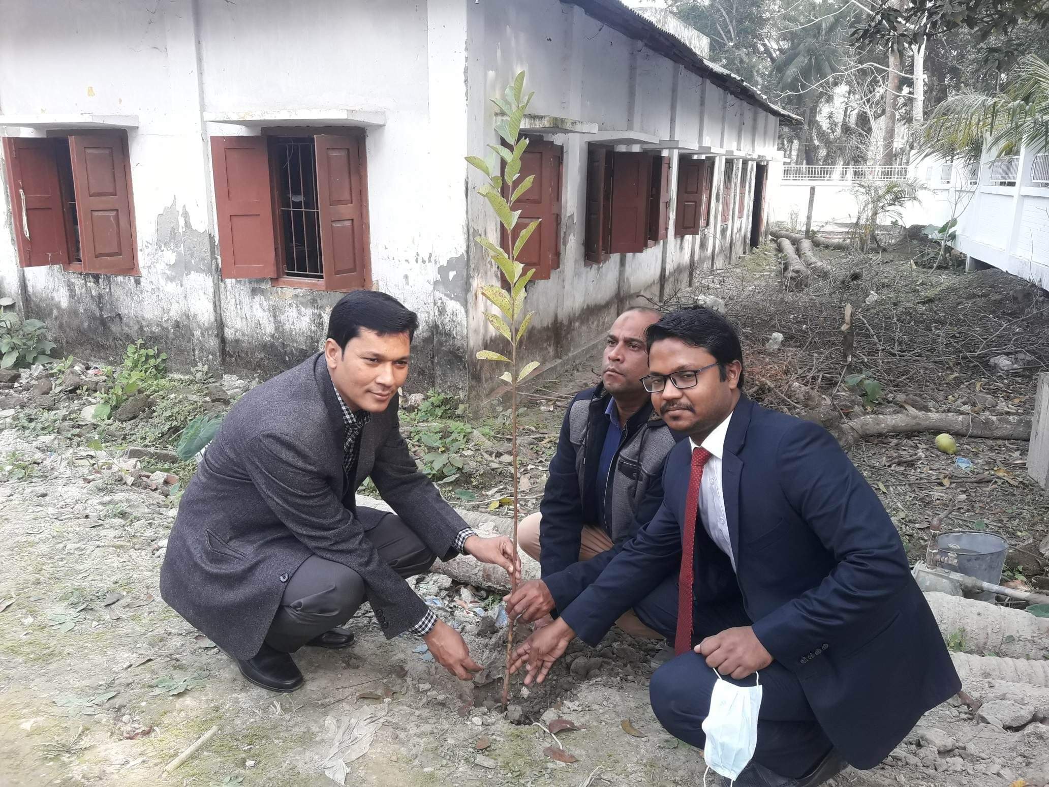 মুজিববর্ষে কাঠালিয়া উপজেলা ভূমি অফিসের উদ্যোগে বৃক্ষরোপণ