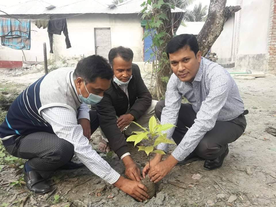 হিজলা  উপজেলা ভূমি অফিসের উদ্যোগে বৃক্ষ রোপণ