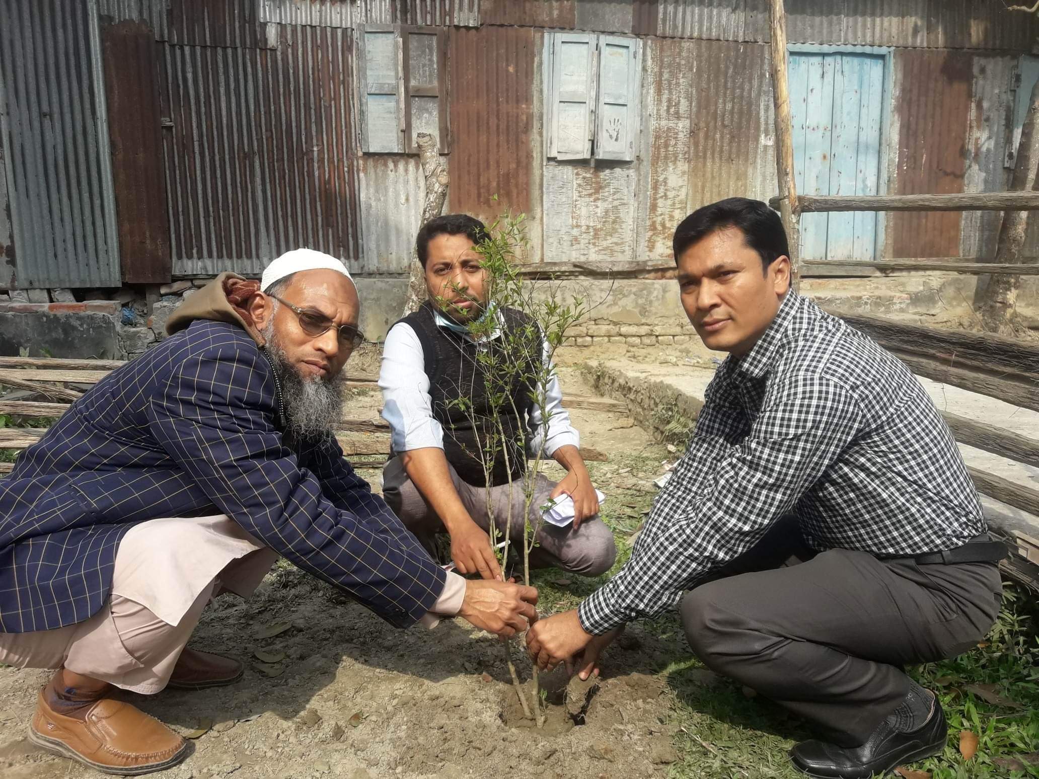 মুজিববর্ষ উপলক্ষে গলাচিপা উপজেলা ভূমি অফিসের উদ্যোগে বৃক্ষ রোপণ