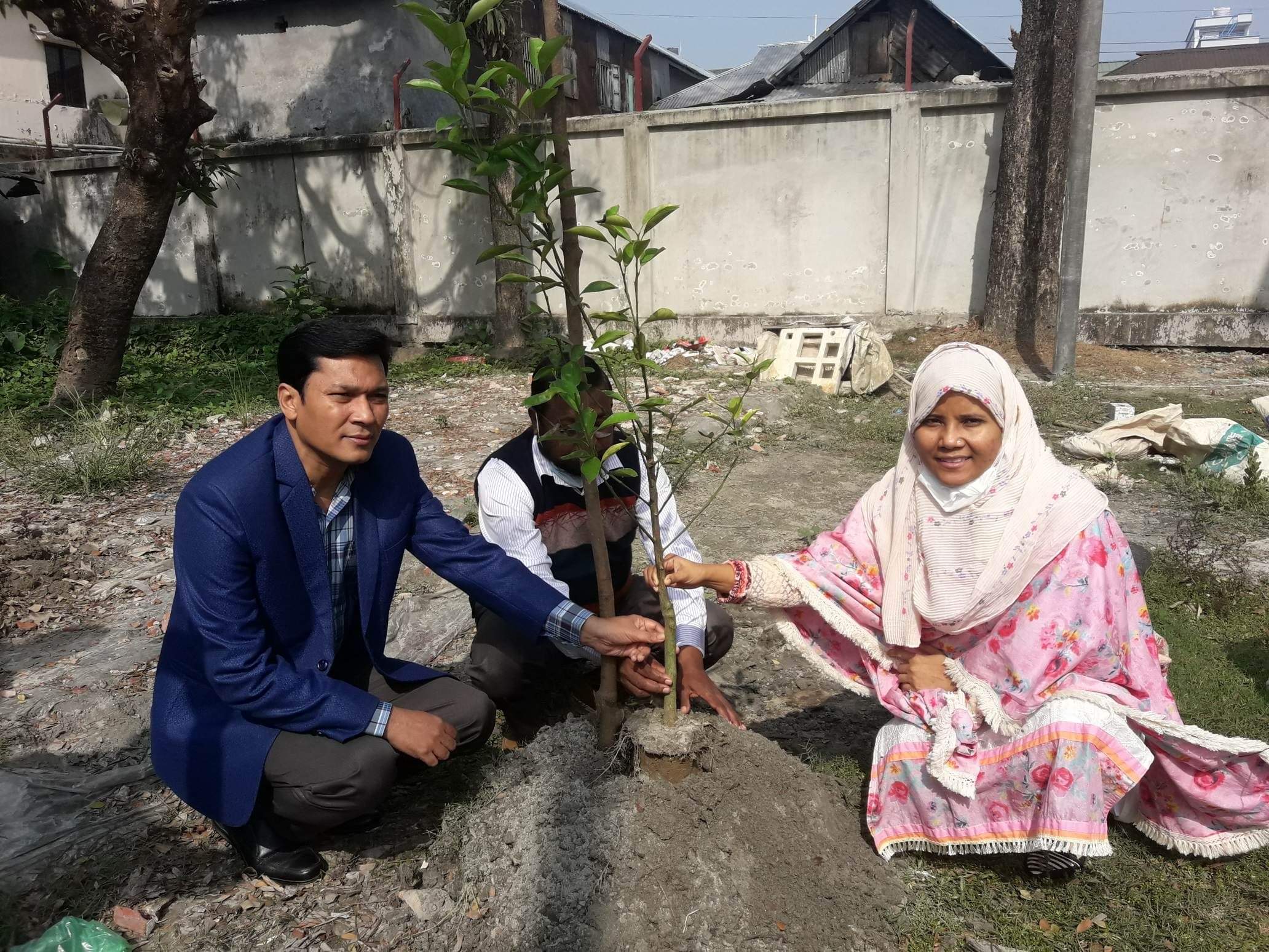 মুজিববর্ষ উপলক্ষে বরগুনা সদর উপজেলা ভূমি অফিসের উদ্যোগে বৃক্ষ রোপণ