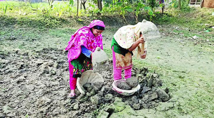 মাটি কেটে সংসার চলছে ইউপি সদস্য ববিতার