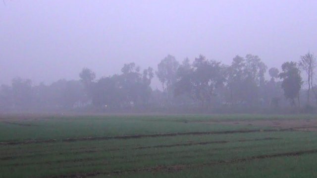 হিলিতে তীব্র শীতে বেড়েছে দুর্ভোগ