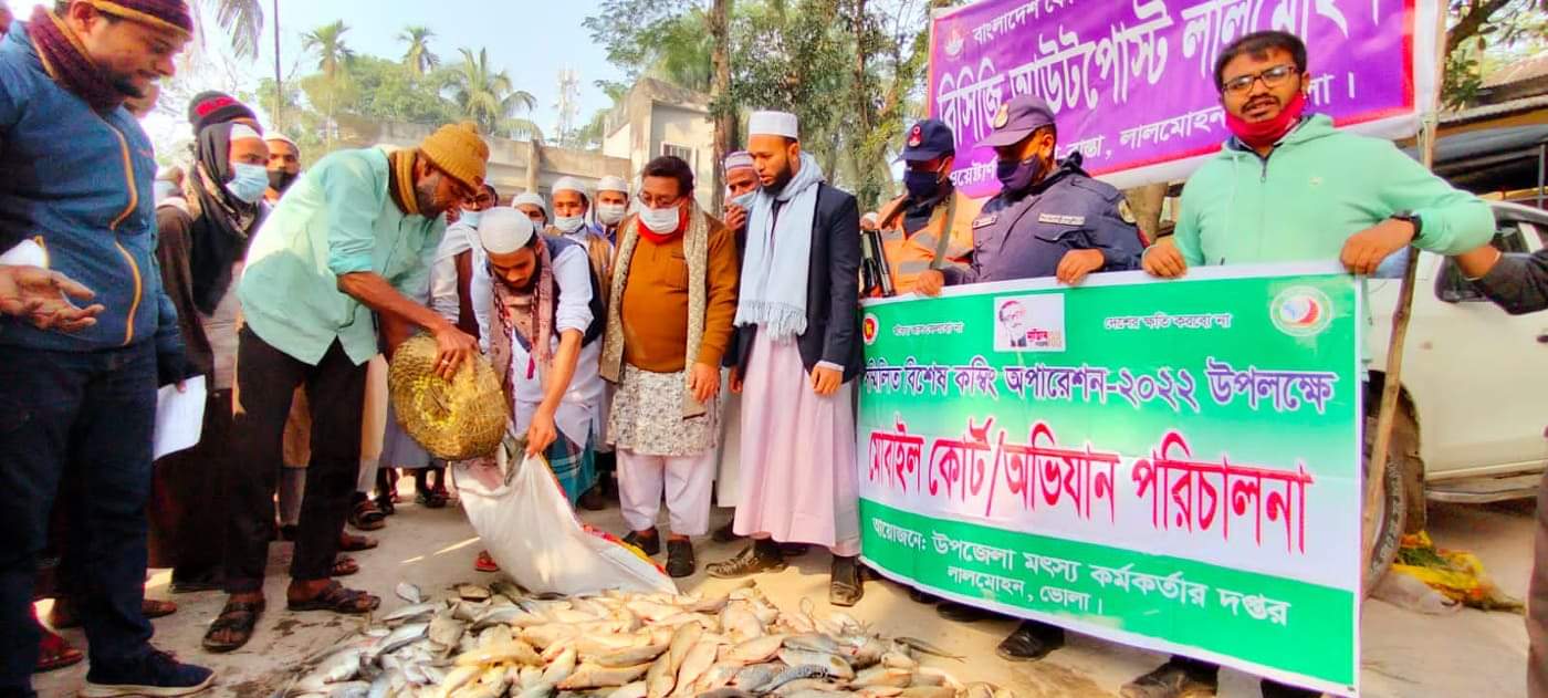 লালমোহনে জাটকা ইলিশ জব্দ ও জেলে আটক