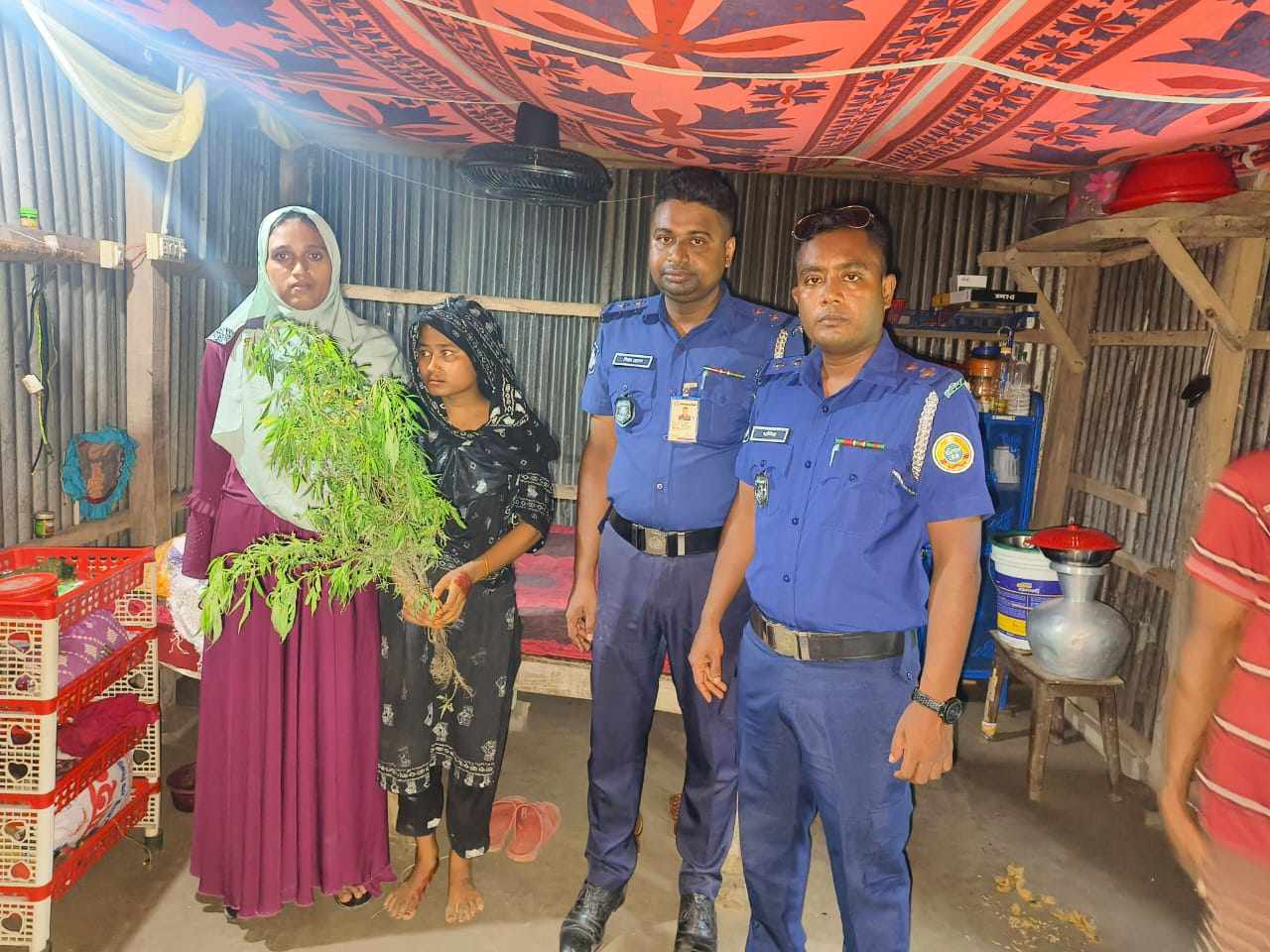 বোরহানউদ্দিনে পুলিশের অভিযানে অবৈধ ৪টি গাঁজা গাছ ও গাঁজা সহ এক যুবতী আটক