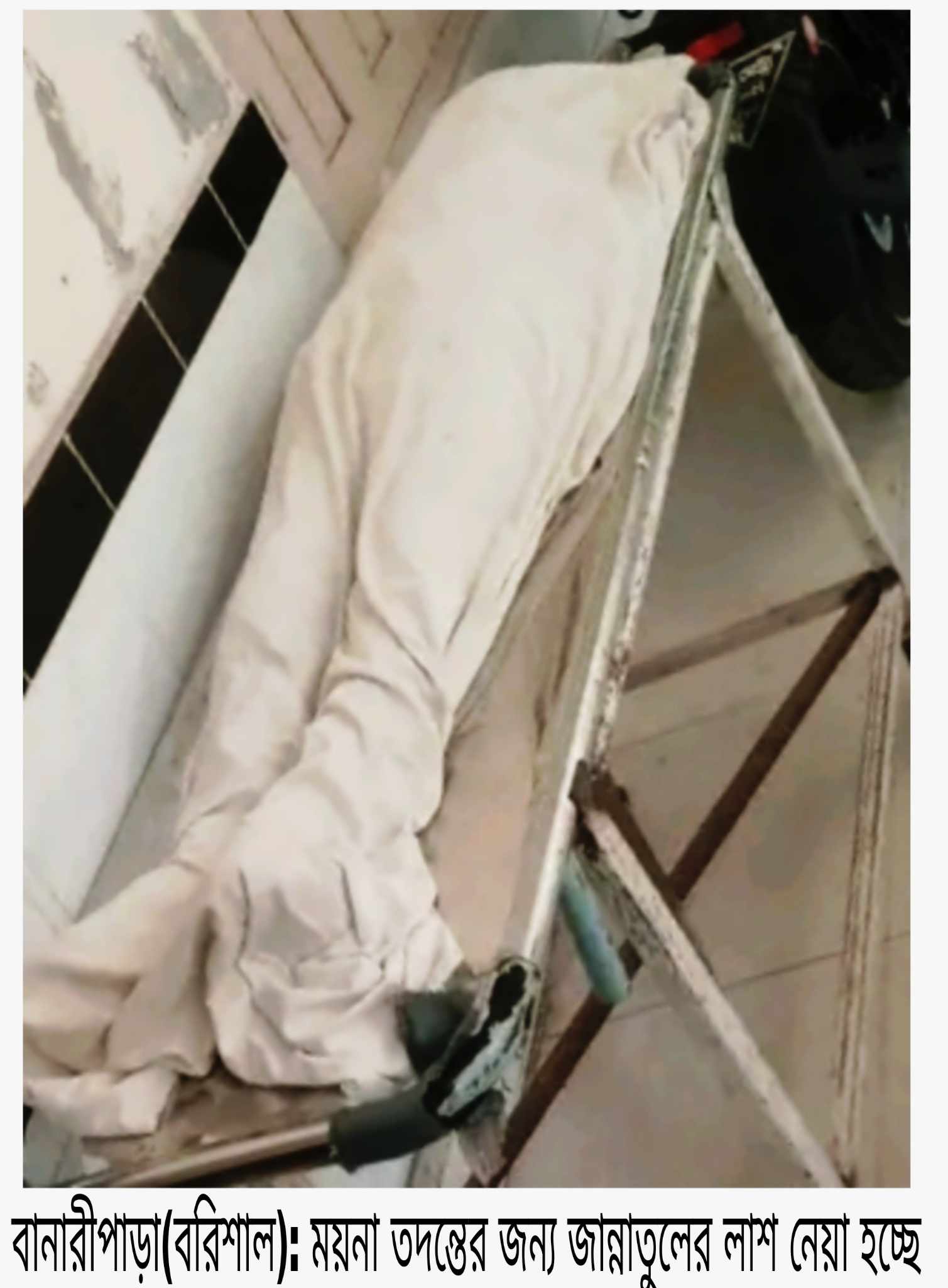 বানারীপাড়ায় প্রেমিকের সাথে মা পলাতক, মেয়ের বাথরুমে গলায় ফাঁস