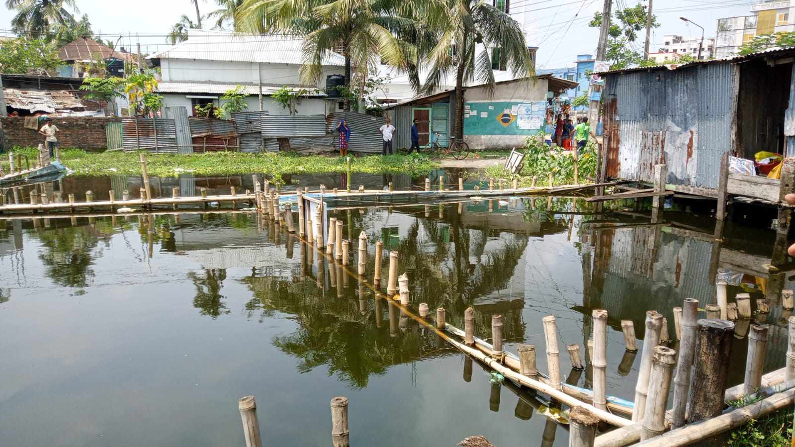 জমি দখলে বাধা দেয়ায় রাজাপুর থানার এসআই আলোচিত মহিউদ্দিন মাহির হুমকি