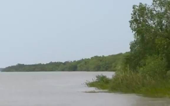 সুন্দরবন প্রবেশে তিন মাসের নিষেধাজ্ঞা শুরু আজ