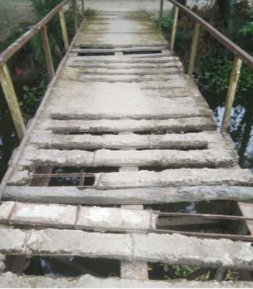 ব্রিজ নয়, যেন মরণফাঁদ তিন ওয়ার্ডের পারাপারের একমাত্র ভরসা ব্রিজের বেহাল দশা