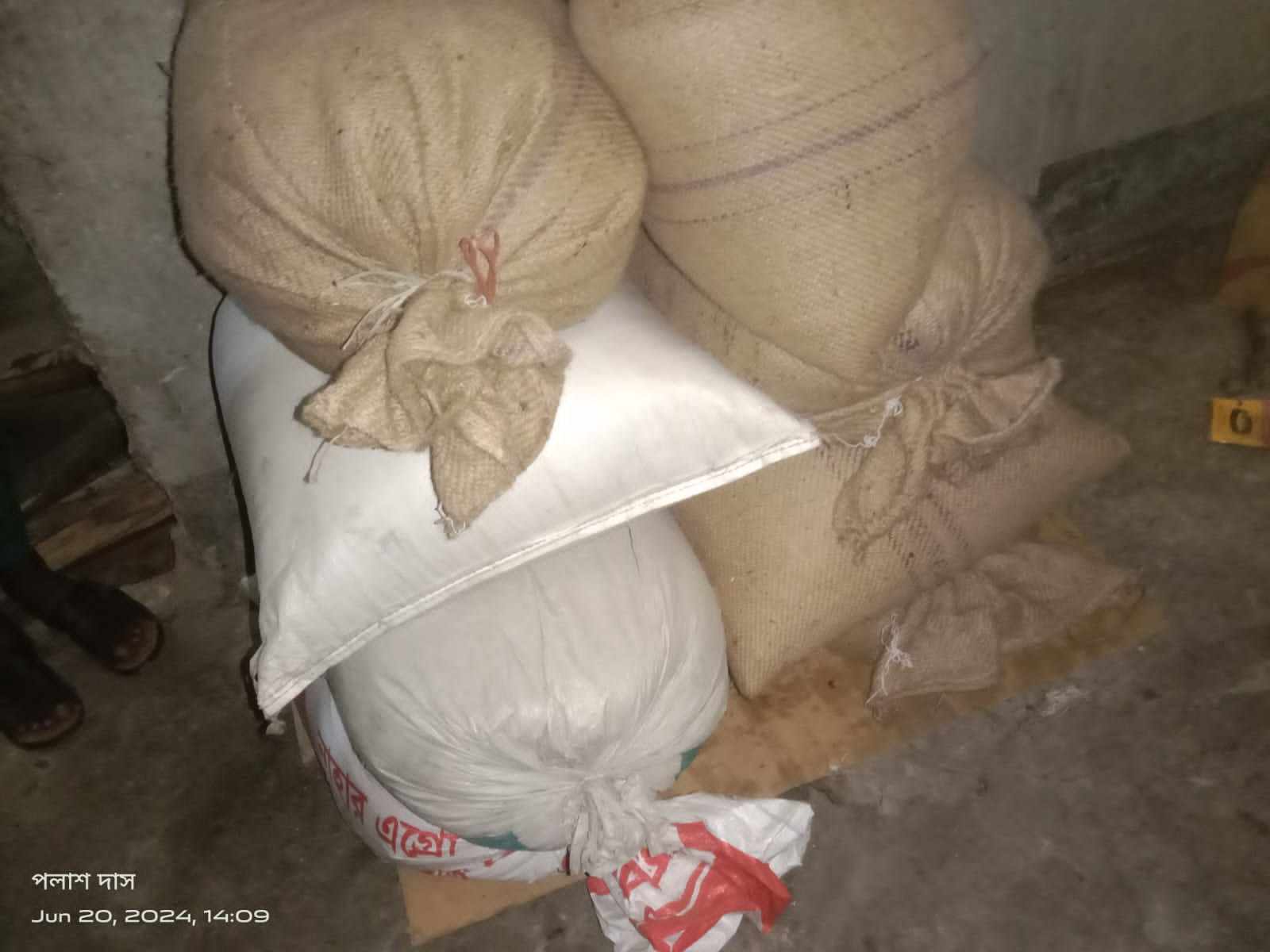 হিজলায় ইউপি সদস্যের বিরুদ্ধে সরকারি চাল আত্মসাৎ এর অভিযোগ।