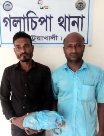 গলাচিপায় গাঁজা সহ আটক ২