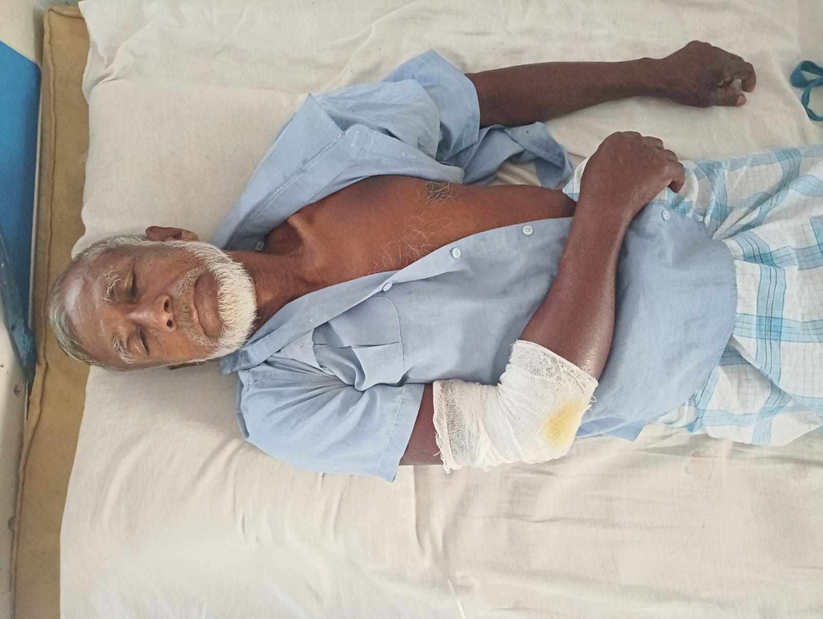 আগৈলঝাড়ায় গাছ কাটায় বাঁধা দেয়ায় বৃদ্ধ শারীরিক প্রতিবন্ধীকে দুই দফায় পিটিয়ে আহত