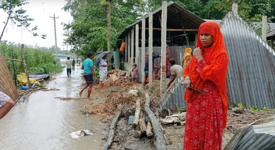 গঙ্গাচড়ায় তিস্তা নদীর পানি বৃদ্ধি, ১২শ পরিবার পানিবন্দী