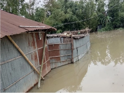 তিস্তায় পানি বৃদ্ধি, ভাঙ্গন হুমকিতে স্কুল মাদ্রাসা ও ঘরবাড়ি
