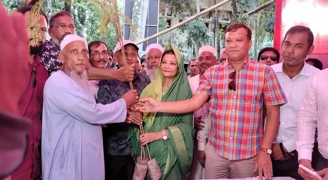 তীব্র তাপদাহ থেকে বাঁচতে হলে সবুজ বনায়নের বিকল্প নেই, ড. শাম্মী আহমেদ এমপি।