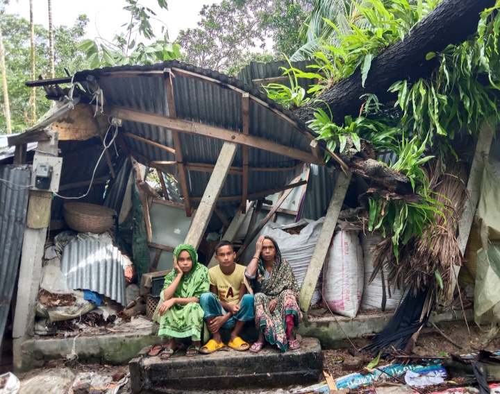গলাচিপায় ঘরের উপর গাছ চাপা পরায় খোলা আকাশের নিচে মানবেতর জীবন-যাপন