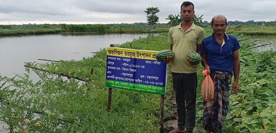 গোপালগঞ্জ সদর উপজেলায় অসময়ের তরমুজের আবাদ বৃদ্ধি পাচ্ছে