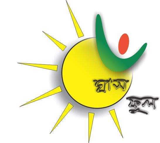 “ঘাসফুল বিদ্যালয় এবং ঘাসফুলের গল্প। “