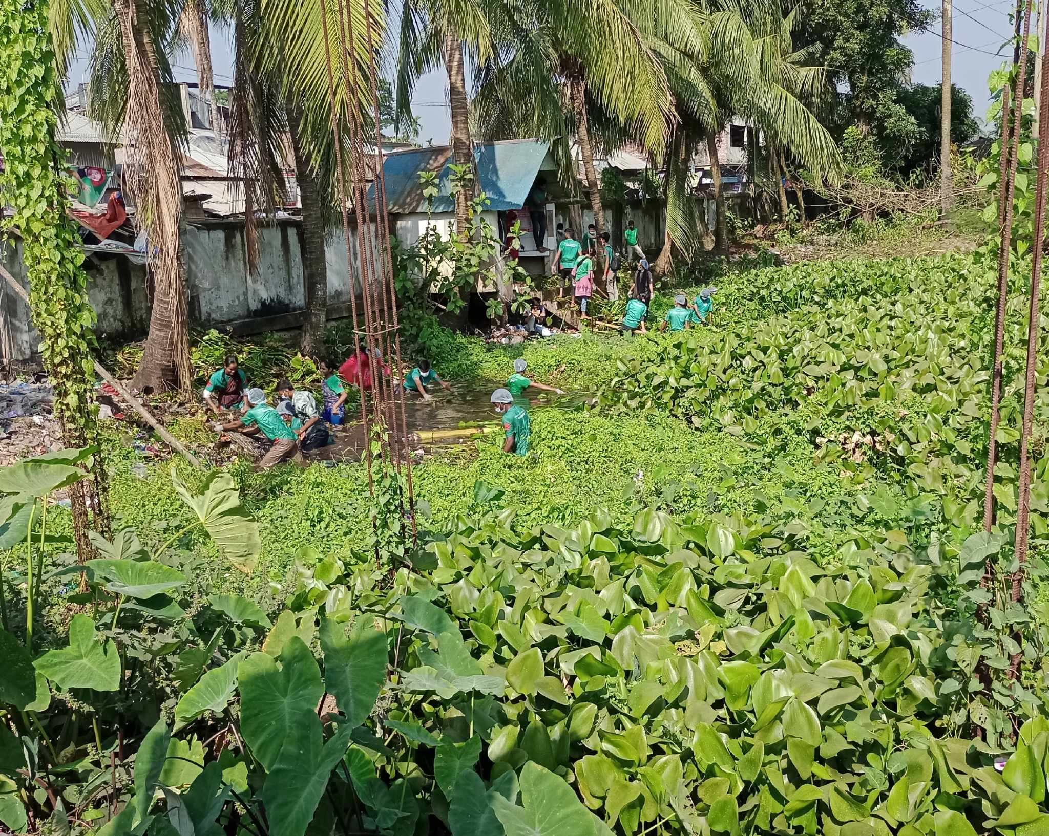 ডৌয়াতলার পুকুর-খাল ফিরে পেল নতুন জীবন: পরিচ্ছন্নতায় ছাত্র-জনতার উদ্যোগ
