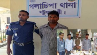 গলাচিপায় পাচারের সময় ১৭ কচ্ছপসহ ব্যবসায়ী আটক
