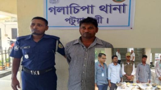 গলাচিপায় পাচারের সময় ১৭ কচ্ছপসহ ব্যবসায়ী আটক