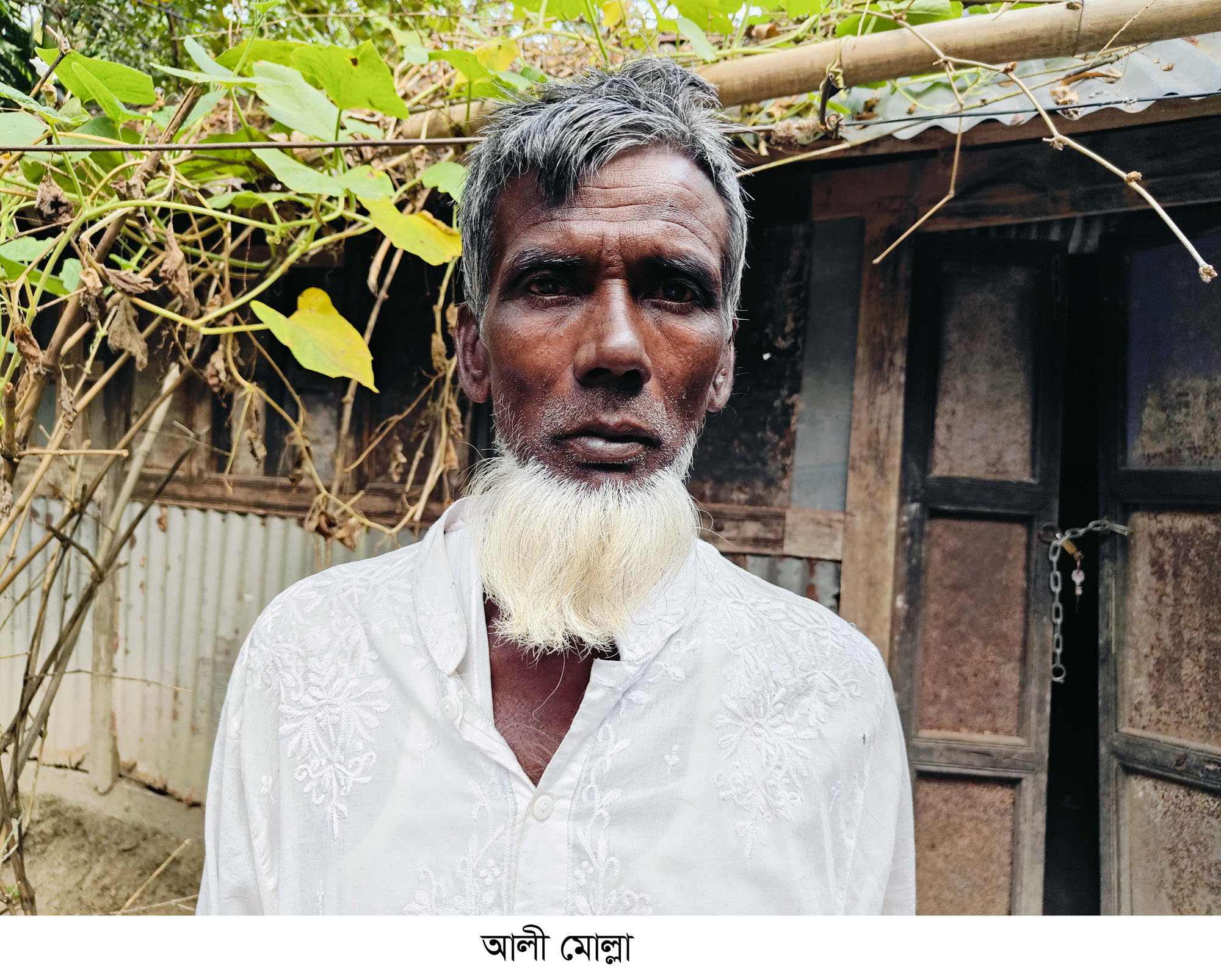 গরু দু’টি আমি চুরি করেছি, আমাকে মাফ করে দিয়েন’