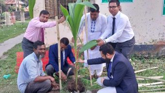 পূবালী ব্যাংক কর্তৃক বৃক্ষরোপণ কর্মসূচি পালিত।