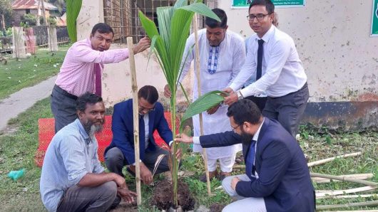 পূবালী ব্যাংক কর্তৃক বৃক্ষরোপণ কর্মসূচি পালিত।