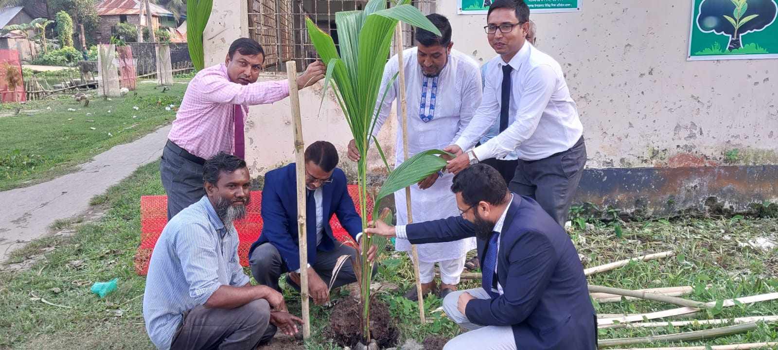 পূবালী ব্যাংক কর্তৃক বৃক্ষরোপণ কর্মসূচি পালিত।