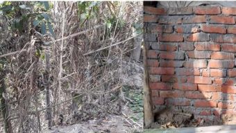 চলাচলের পথে বেড়া অবরুদ্ধ তিন পরিবার