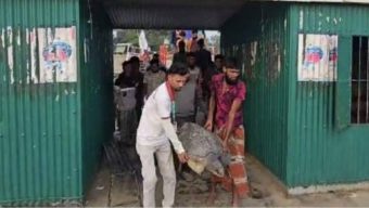 গলাচিপায় জেলের জালে বিশাল আকৃতির সামুদ্রিক কচ্ছপ।