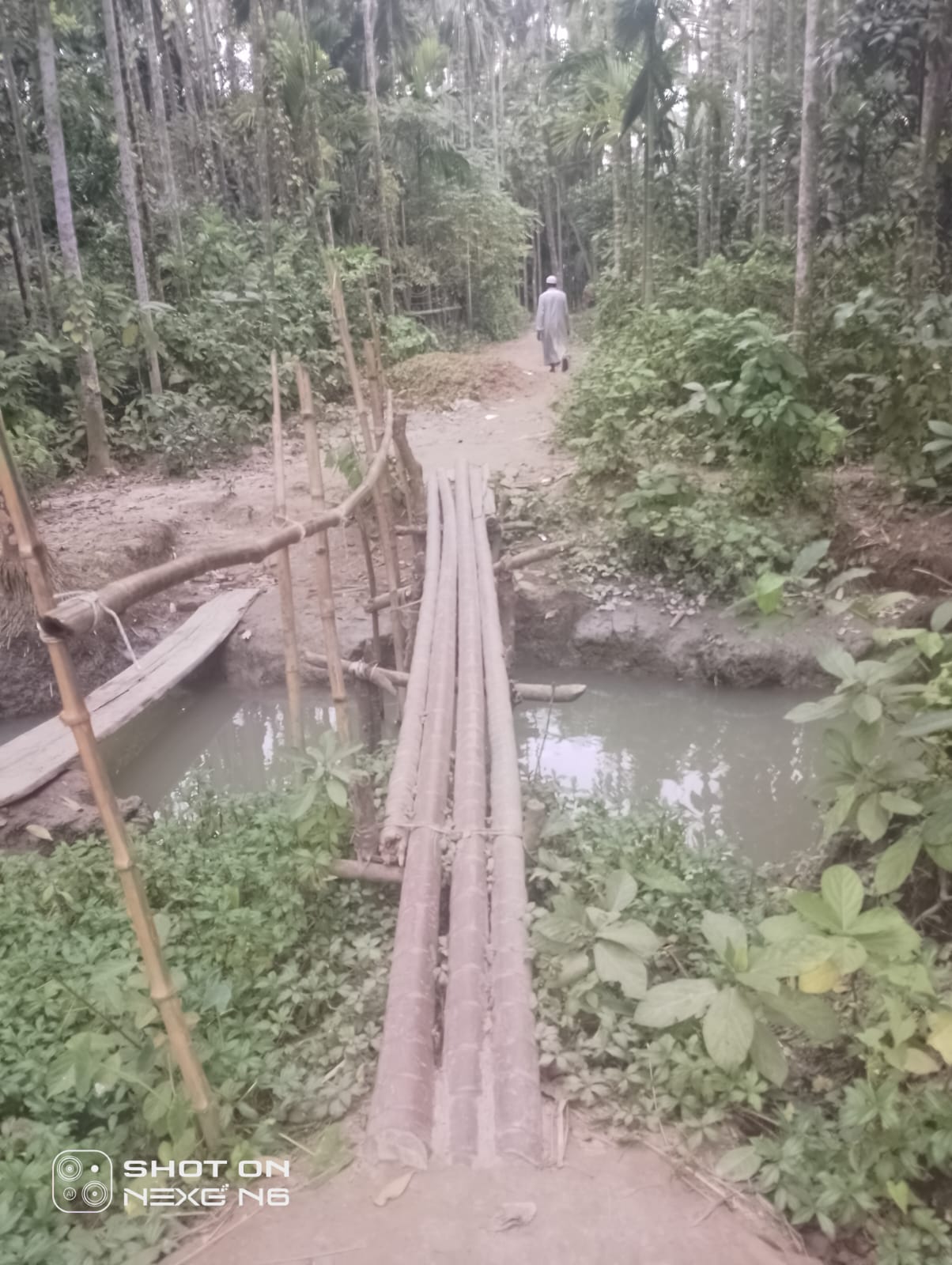 চাড়াখালী  রাস্তার বেহাল অবস্থা