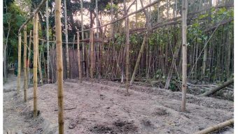 ইউপি সদস্যের জমি দখল করে নিলো প্রতিপক্ষরা
