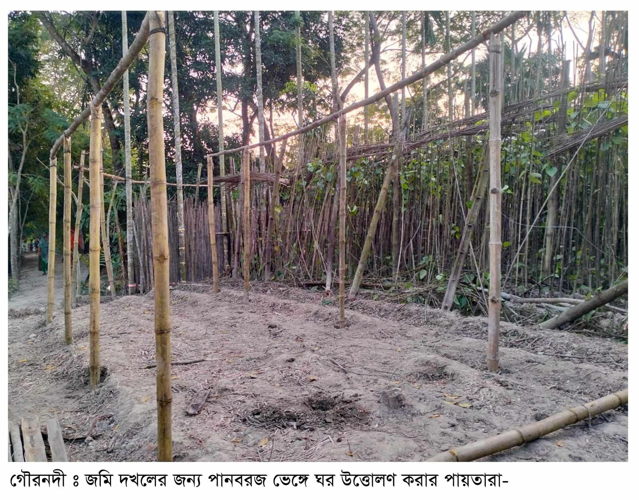 ইউপি সদস্যের জমি দখল করে নিলো প্রতিপক্ষরা
