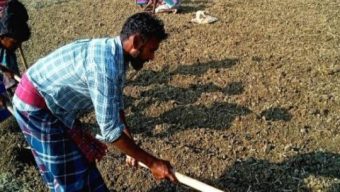গলাচিপায় ভারী বৃষ্টির আতঙ্কে উপকূলীয় অঞ্চলের আলু চাষীরা