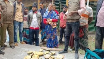 গলাচিপায় ২৬টি কচ্ছপসহ নারী আটক