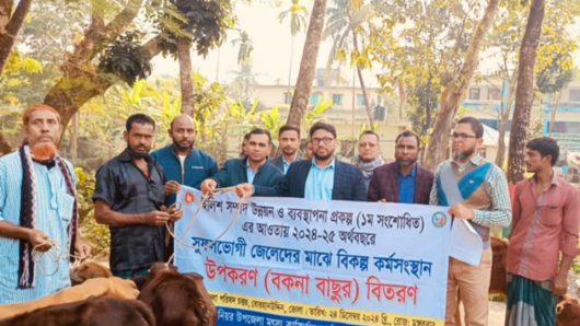 বোরহানউদ্দিনে বিকল্প কর্মসংস্থানের লক্ষ্যে প্রান্তিক জেলেদের মাঝে বকনা বাছুর বিতরণ