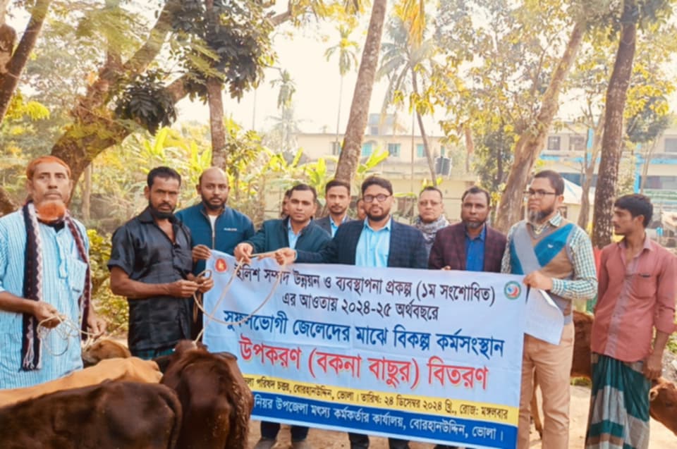 বোরহানউদ্দিনে বিকল্প কর্মসংস্থানের লক্ষ্যে প্রান্তিক জেলেদের মাঝে বকনা বাছুর বিতরণ