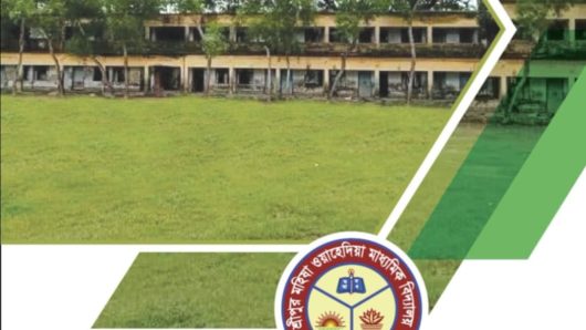 আগামীকাল অনুষ্ঠিত হতে যাচ্ছে শ্রীপুর হাইস্কুলের প্লাটিনাম জয়ন্তী ও পুনর্মিলনী অনুষ্ঠান-২৪