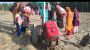 ইন্দুরকানীতে ট্রাক্টরের ফালে পিতার সামনে   ক্ষতবিক্ষত হয়ে ছেলে আব্দুল্লাহর করুন মৃত্যু