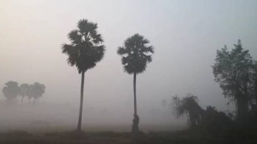 ‎বাগেরহাটে শৈত্যপ্রবাহে কাঁপছে জনপদ, জবুথুবু জীবনযাত্রা ‎