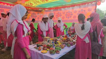 বরগুনার গৌরীচন্না নওয়াব সলিমুল্লাহ মাধ্যমিক বিদ্যালয়ে তারুণ্যের মেলায় অনুষ্ঠিত