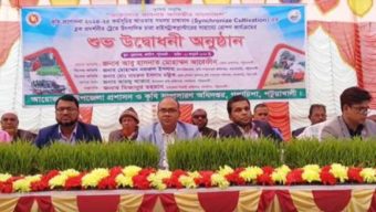 গলাচিপা সমলয় পদ্ধতিতে ধান চাষ কার্যক্রম উদ্বোধন